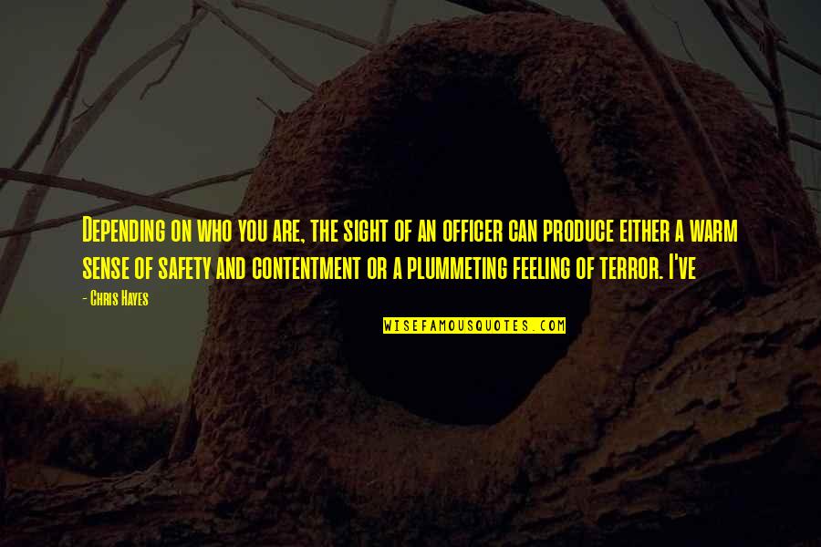 And Safety Quotes By Chris Hayes: Depending on who you are, the sight of