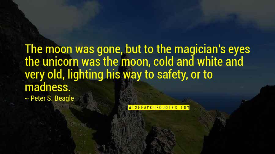 And Safety Quotes By Peter S. Beagle: The moon was gone, but to the magician's