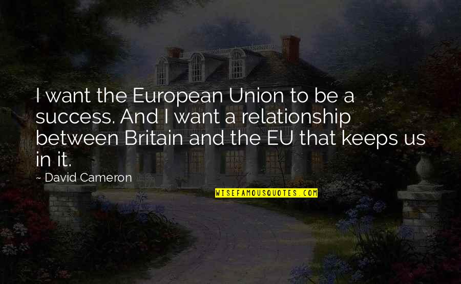 And Success Quotes By David Cameron: I want the European Union to be a