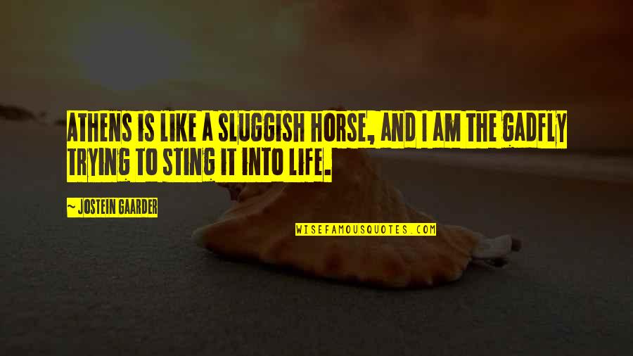 And The Horse Quotes By Jostein Gaarder: Athens is like a sluggish horse, and I And The Horse Quotes By Jostein Gaarder: Athens is like a sluggish horse, and I