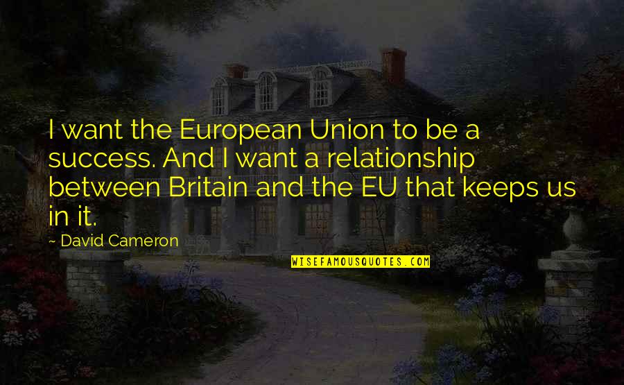 And The Success Quotes By David Cameron: I want the European Union to be a