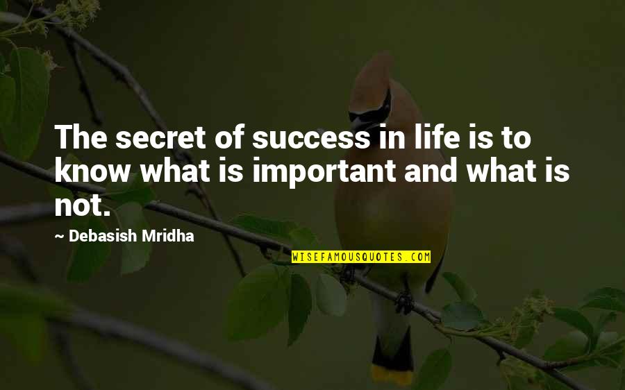 And The Success Quotes By Debasish Mridha: The secret of success in life is to