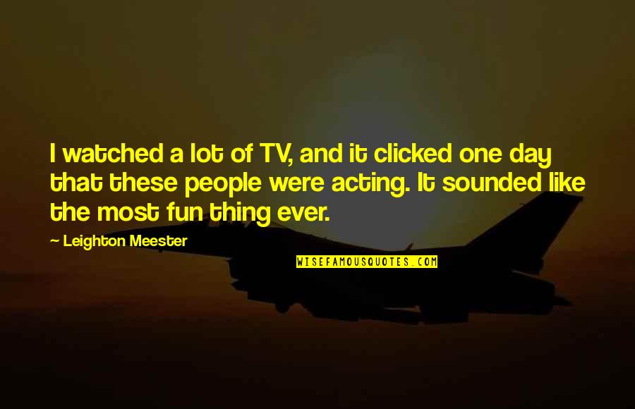 And Then It Clicked Quotes By Leighton Meester: I watched a lot of TV, and it