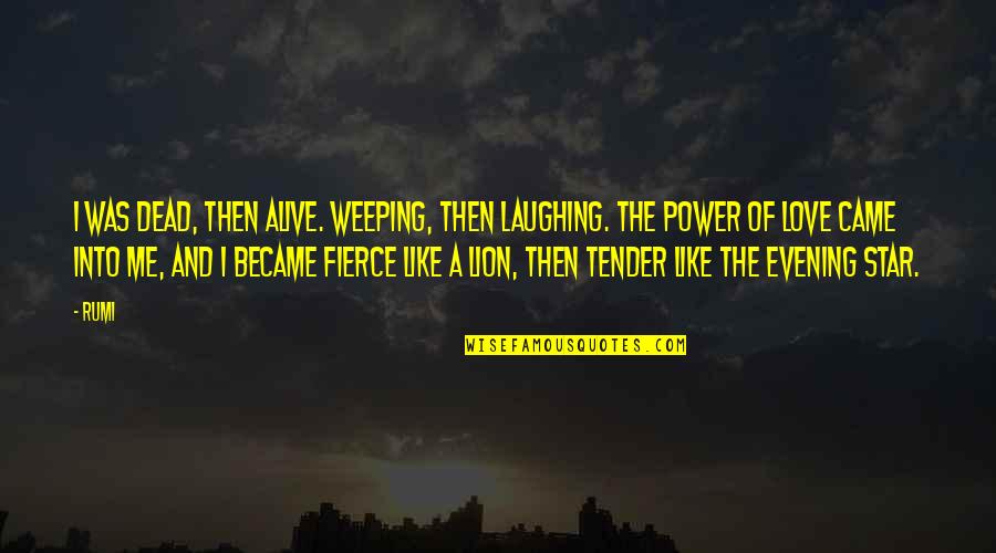 And Then Love Quotes By Rumi: I was dead, then alive. Weeping, then laughing.