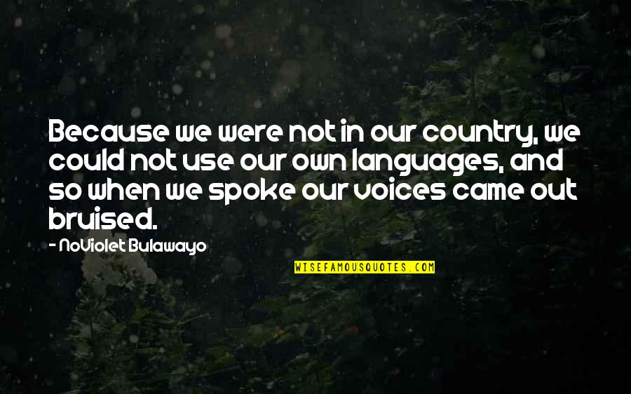 And Then You Came Quotes By NoViolet Bulawayo: Because we were not in our country, we