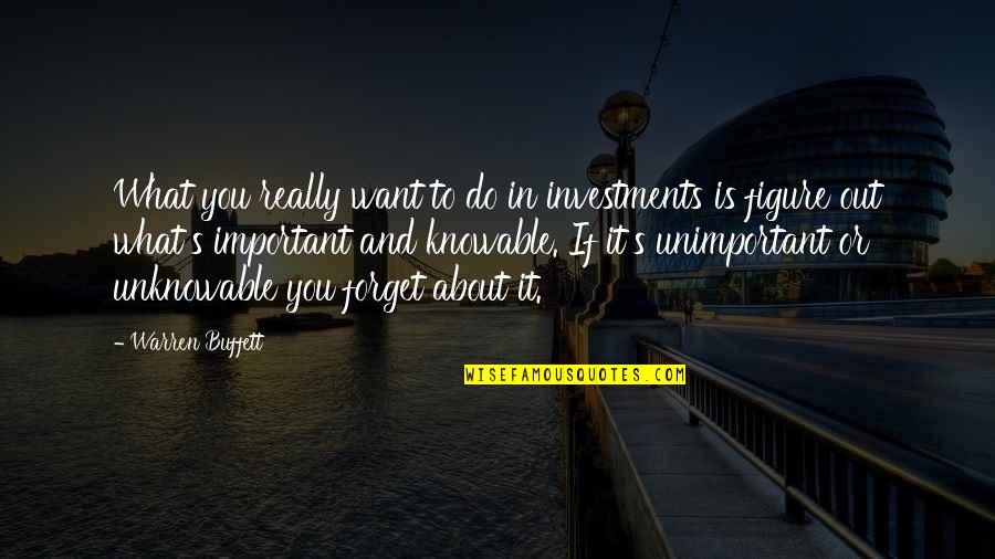 And What If Quotes By Warren Buffett: What you really want to do in investments