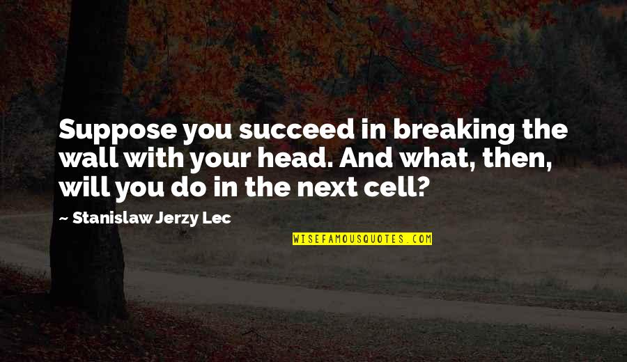 And You Will Succeed Quotes By Stanislaw Jerzy Lec: Suppose you succeed in breaking the wall with