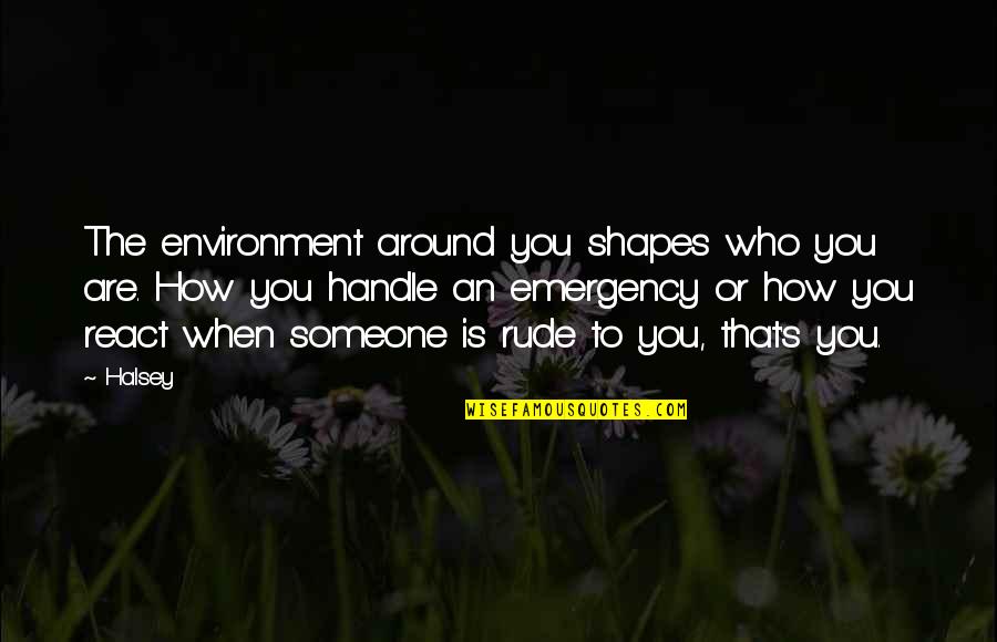 Andata Rekvizitai Quotes By Halsey: The environment around you shapes who you are. Andata Rekvizitai Quotes By Halsey: The environment around you shapes who you are.