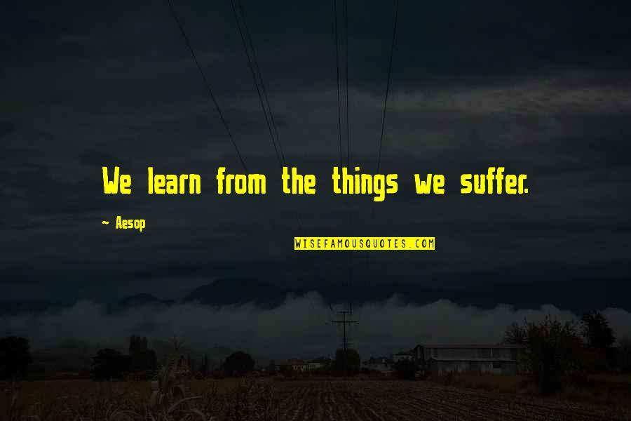 Andate A La Quotes By Aesop: We learn from the things we suffer.