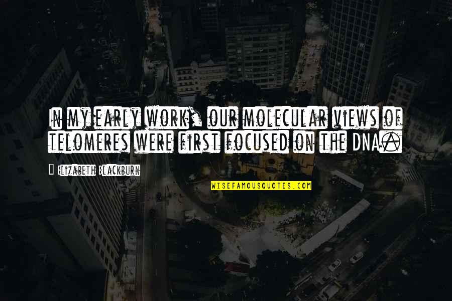 Anderberg Construction Quotes By Elizabeth Blackburn: In my early work, our molecular views of Anderberg Construction Quotes By Elizabeth Blackburn: In my early work, our molecular views of