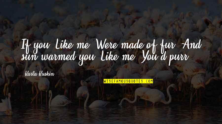 Anderen Bank Quotes By Karla Kuskin: If you, Like me, Were made of fur,