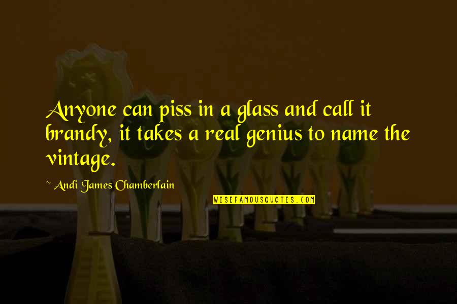 Andi Quotes By Andi James Chamberlain: Anyone can piss in a glass and call