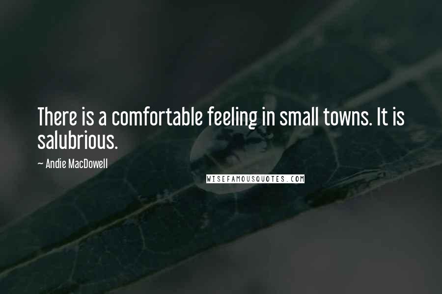 Andie MacDowell quotes: There is a comfortable feeling in small towns. It is salubrious.