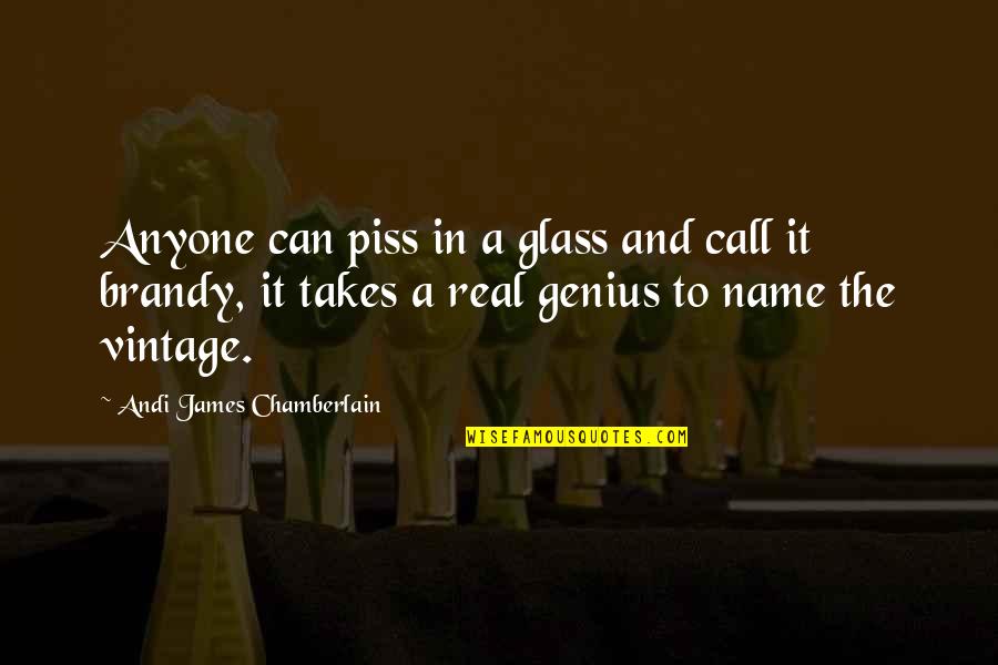 Andi's Quotes By Andi James Chamberlain: Anyone can piss in a glass and call