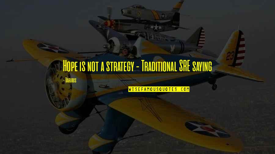 Andjelka Tomasevic Quotes By Various: Hope is not a strategy - Traditional SRE