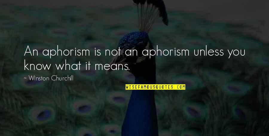 Andjic Trans Quotes By Winston Churchill: An aphorism is not an aphorism unless you