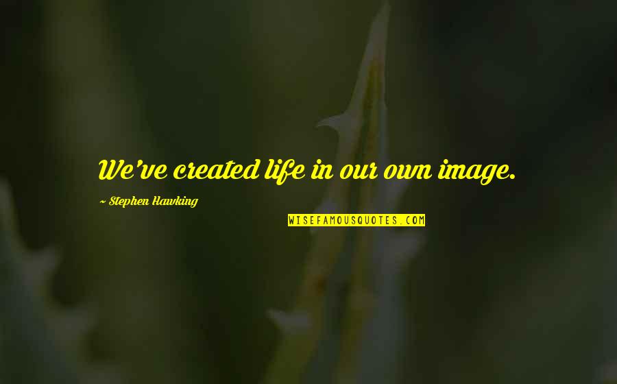 Andoa Vestimenta Quotes By Stephen Hawking: We've created life in our own image.