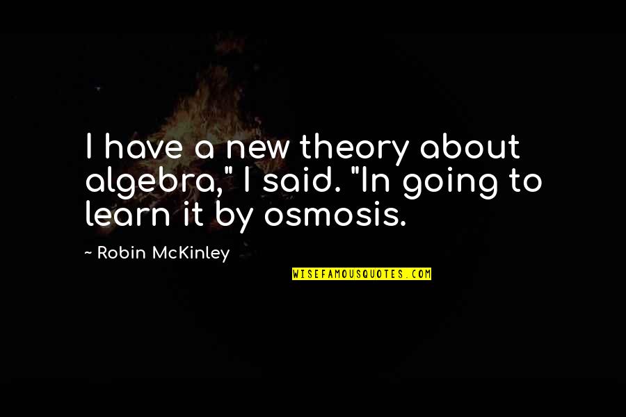 Andrade Boxer Quotes By Robin McKinley: I have a new theory about algebra," I