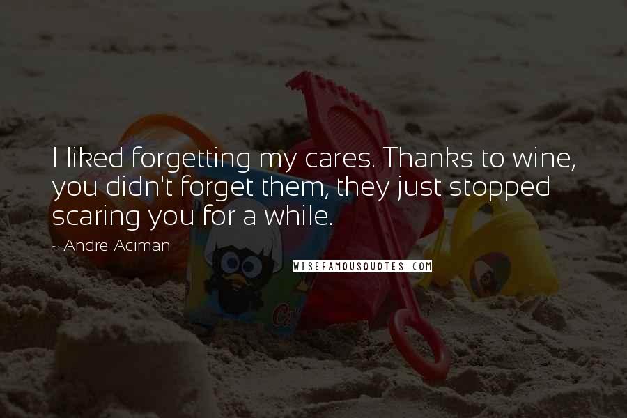 Andre Aciman quotes: I liked forgetting my cares. Thanks to wine, you didn't forget them, they just stopped scaring you for a while.