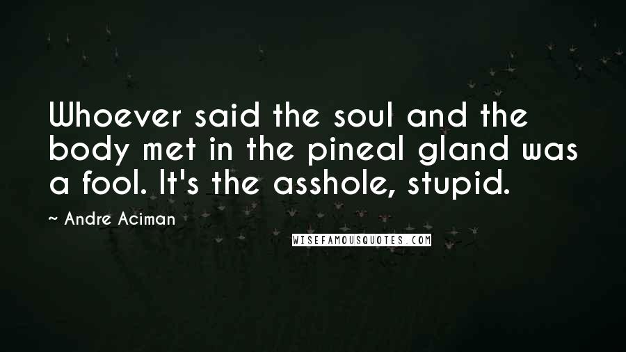 Andre Aciman quotes: Whoever said the soul and the body met in the pineal gland was a fool. It's the asshole, stupid.