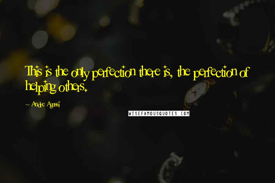 Andre Agassi quotes: This is the only perfection there is, the perfection of helping others.