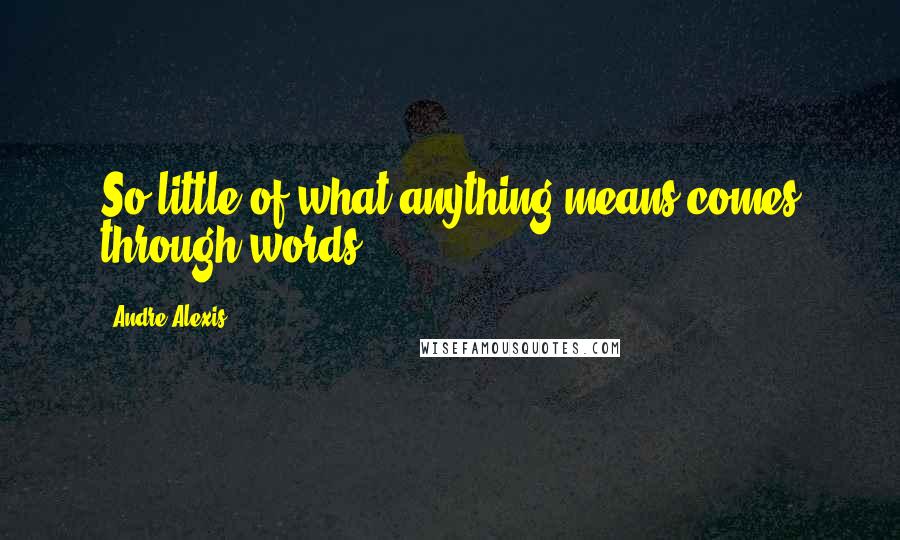 Andre Alexis quotes: So little of what anything means comes through words.