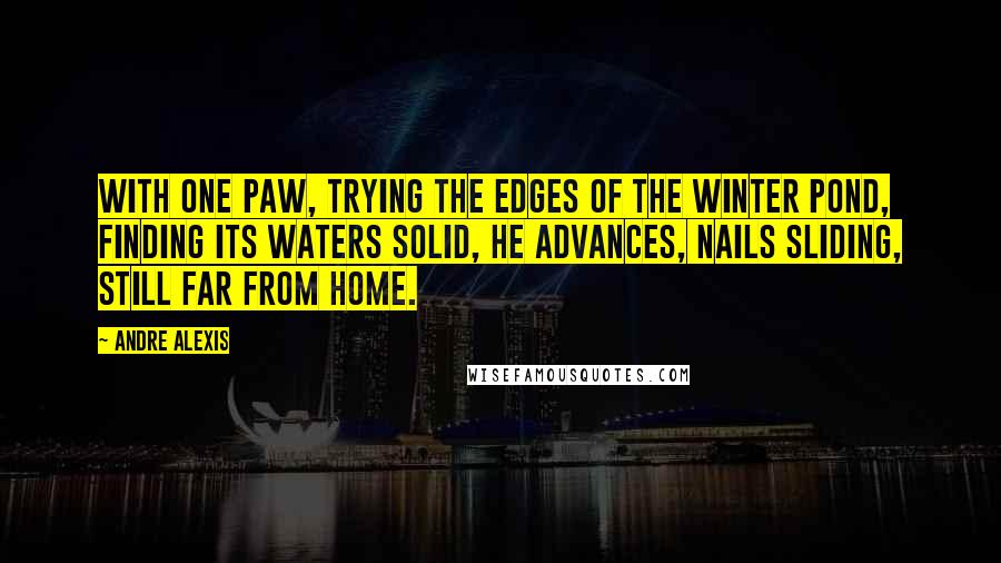 Andre Alexis quotes: With one paw, trying the edges of the winter pond, finding its waters solid, he advances, nails sliding, still far from home.