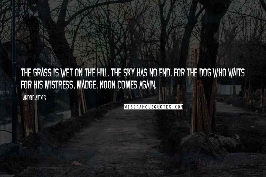 Andre Alexis quotes: The grass is wet on the hill. The sky has no end. For the dog who waits for his mistress, Madge, noon comes again.