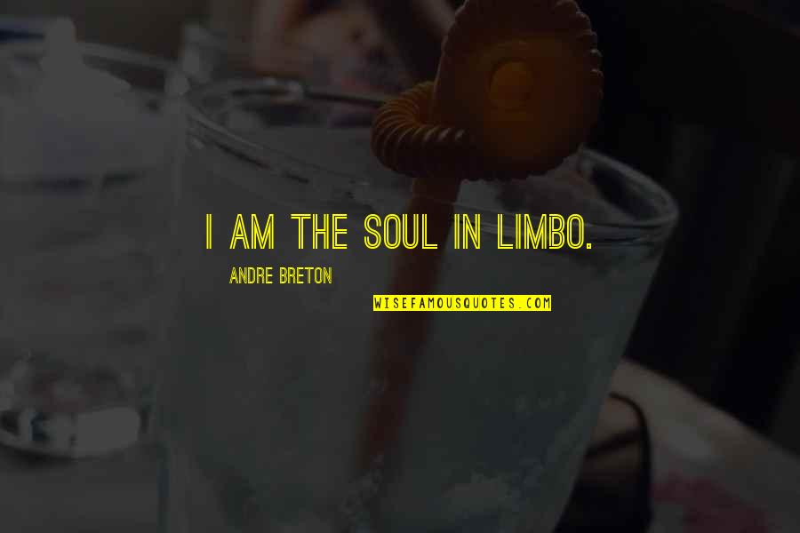 Andre Breton Nadja Quotes By Andre Breton: I am the soul in limbo.