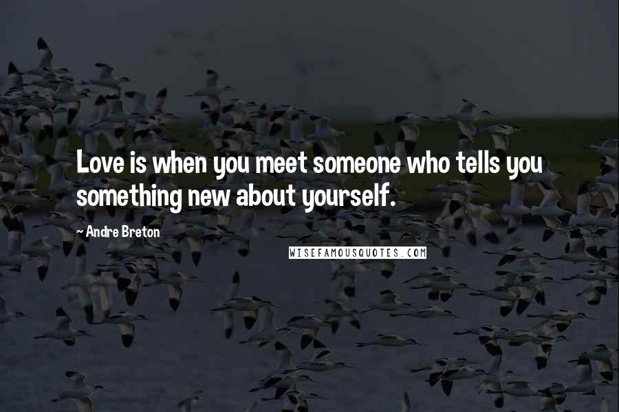 Andre Breton quotes: Love is when you meet someone who tells you something new about yourself.