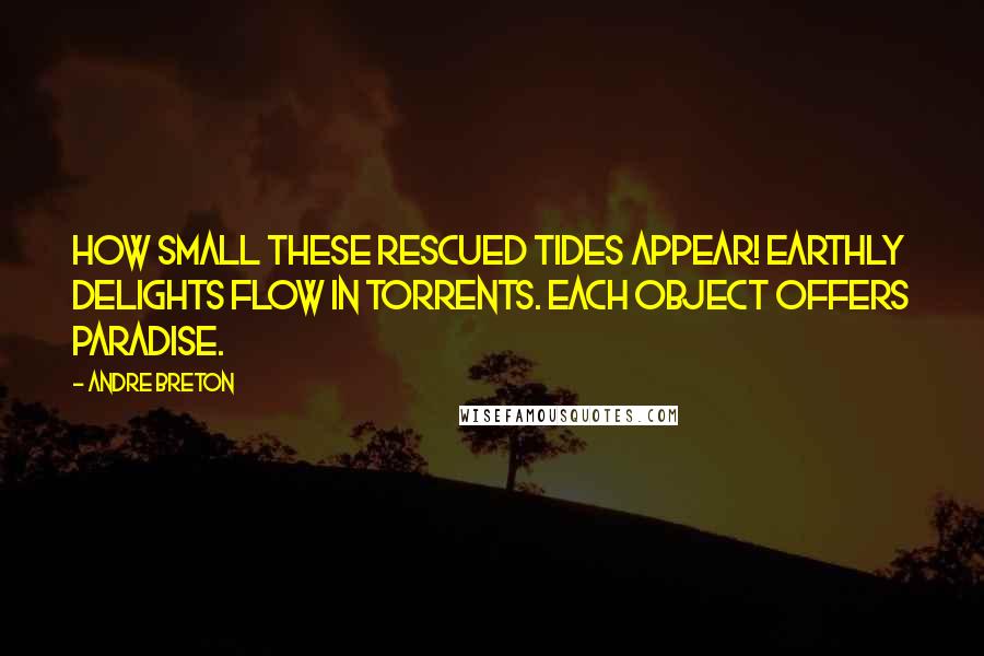 Andre Breton quotes: How small these rescued tides appear! Earthly delights flow in torrents. Each object offers paradise.