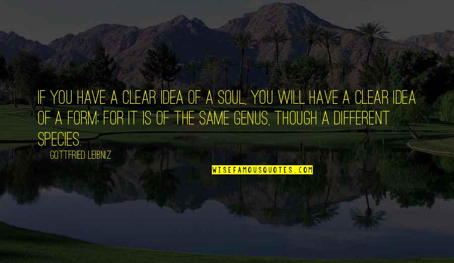 Andre Derain Quotes By Gottfried Leibniz: If you have a clear idea of a Andre Derain Quotes By Gottfried Leibniz: If you have a clear idea of a