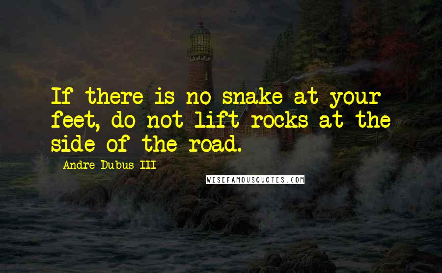 Andre Dubus III quotes: If there is no snake at your feet, do not lift rocks at the side of the road.