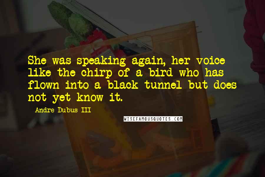 Andre Dubus III quotes: She was speaking again, her voice like the chirp of a bird who has flown into a black tunnel but does not yet know it.