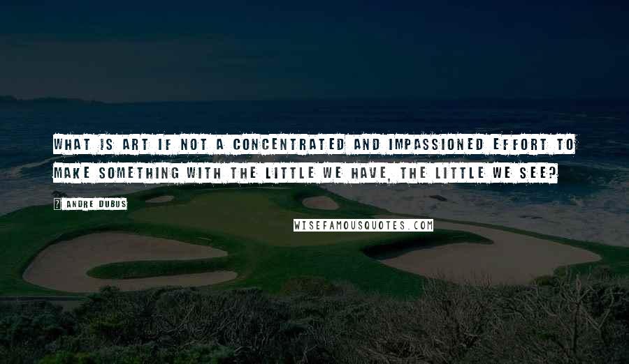 Andre Dubus quotes: What is art if not a concentrated and impassioned effort to make something with the little we have, the little we see?