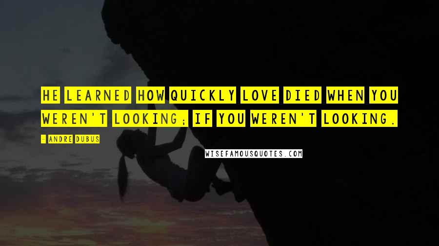 Andre Dubus quotes: He learned how quickly love died when you weren't looking; if you weren't looking.