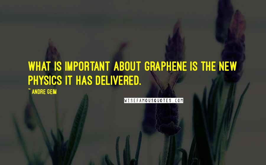 Andre Geim quotes: What is important about graphene is the new physics it has delivered.