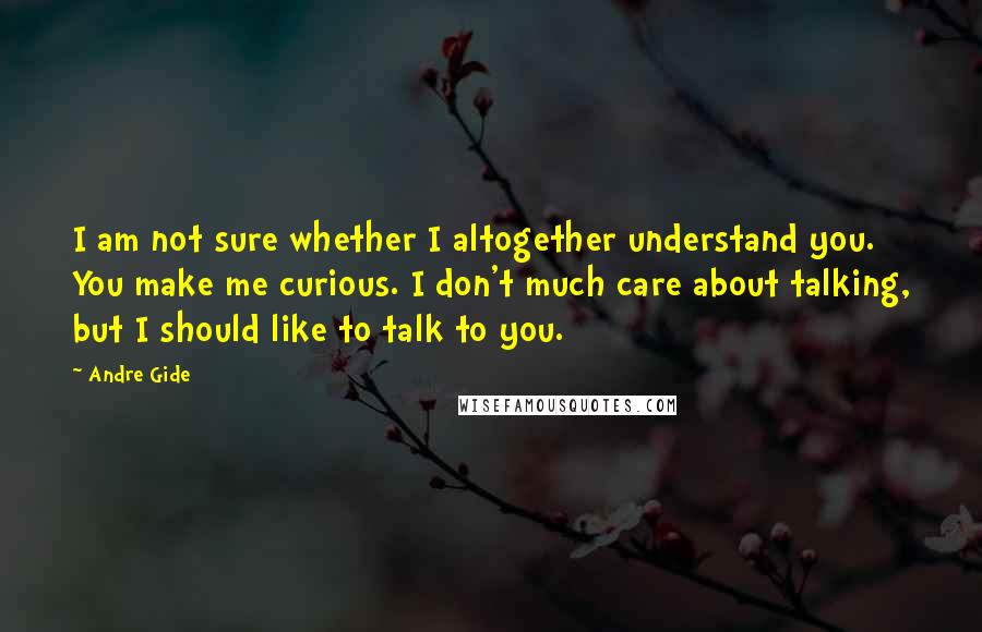 Andre Gide quotes: I am not sure whether I altogether understand you. You make me curious. I don't much care about talking, but I should like to talk to you.