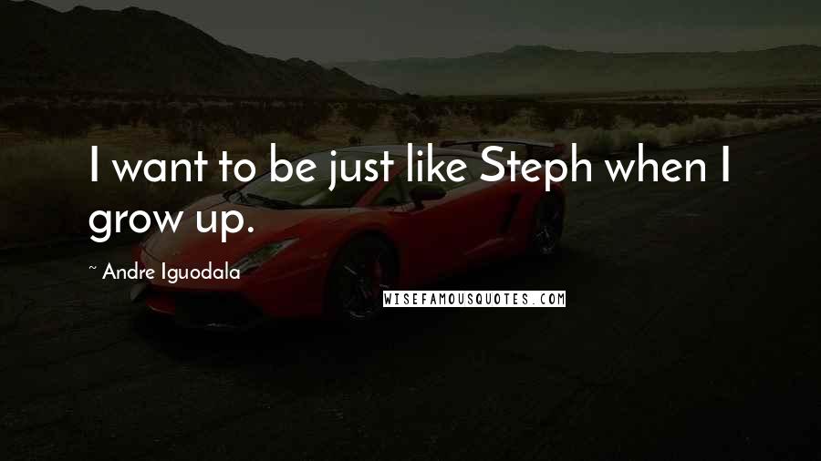 Andre Iguodala quotes: I want to be just like Steph when I grow up.