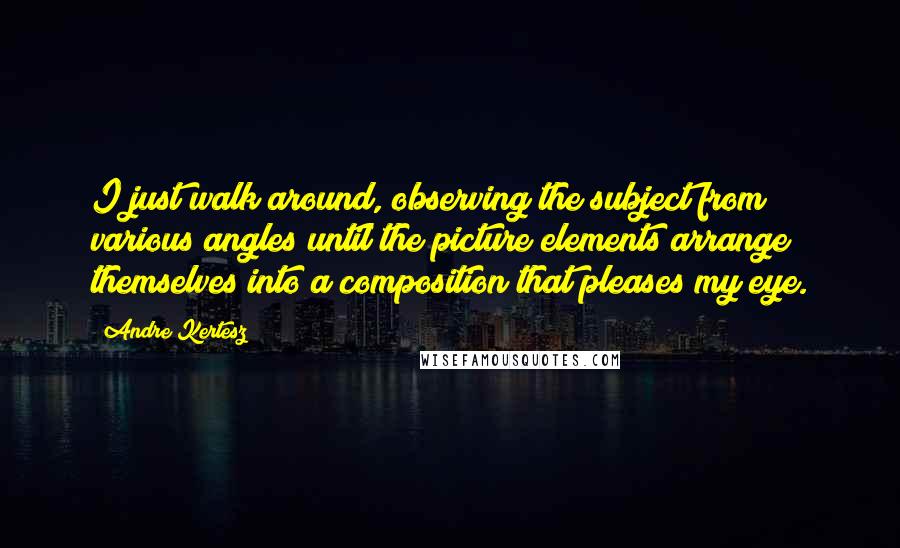 Andre Kertesz quotes: I just walk around, observing the subject from various angles until the picture elements arrange themselves into a composition that pleases my eye.