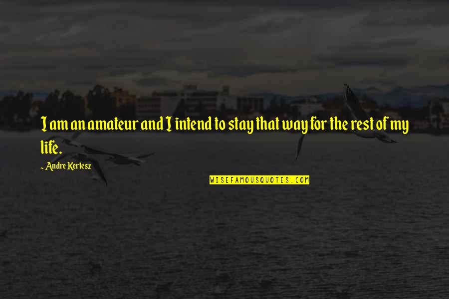 Andre Kertesz Quotes By Andre Kertesz: I am an amateur and I intend to