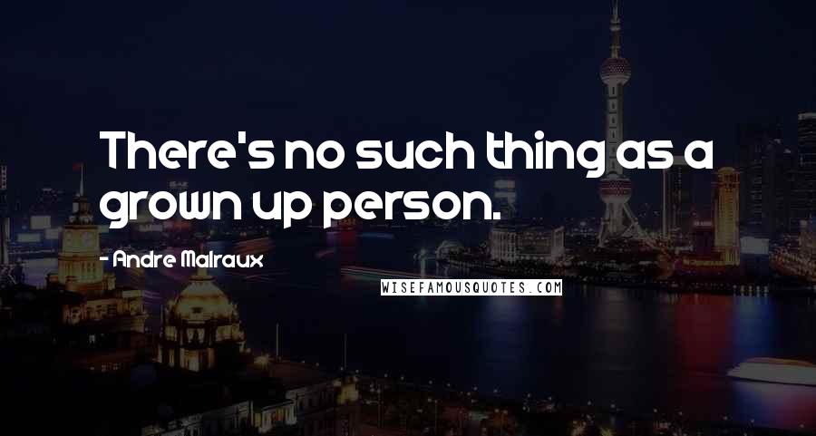 Andre Malraux quotes: There's no such thing as a grown up person.