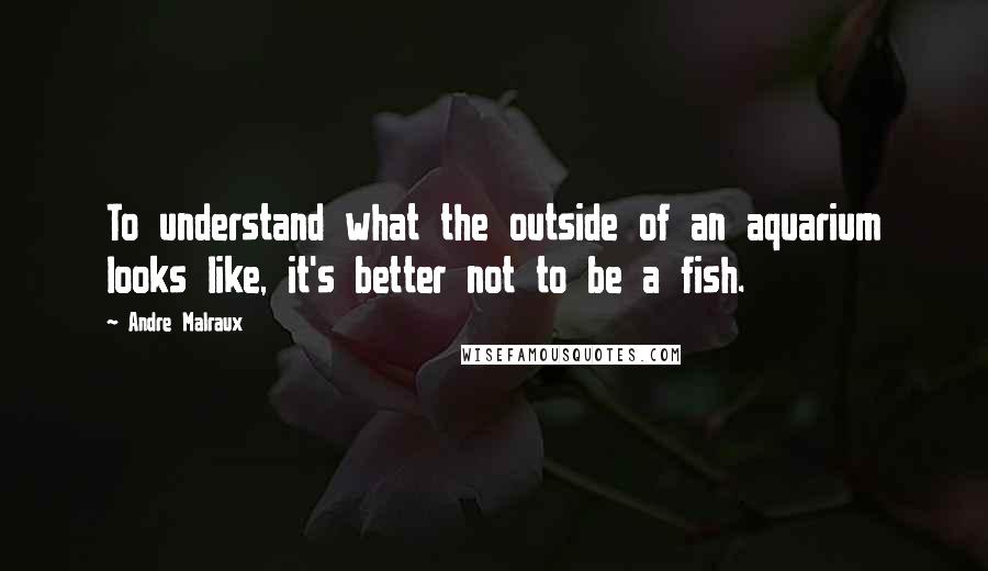 Andre Malraux quotes: To understand what the outside of an aquarium looks like, it's better not to be a fish.
