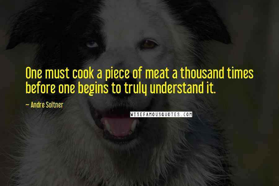 Andre Soltner quotes: One must cook a piece of meat a thousand times before one begins to truly understand it.