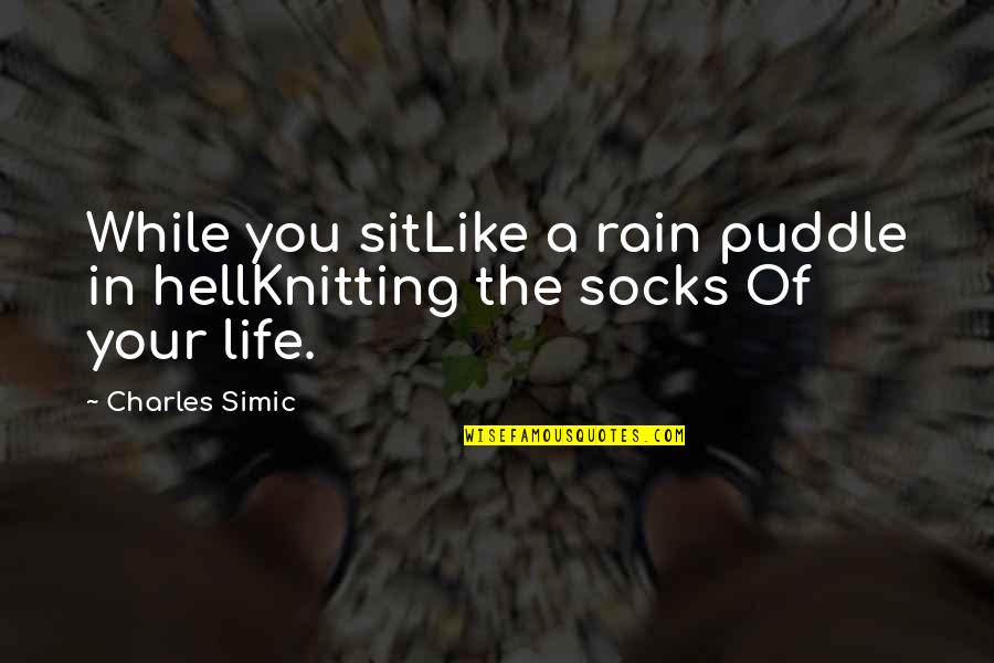 Andre Ward Quotes By Charles Simic: While you sitLike a rain puddle in hellKnitting