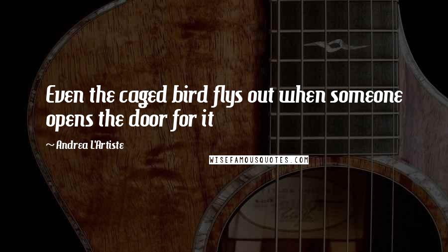 Andrea L'Artiste quotes: Even the caged bird flys out when someone opens the door for it