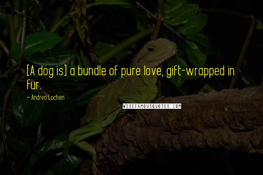 Andrea Lochen quotes: [A dog is] a bundle of pure love, gift-wrapped in fur.