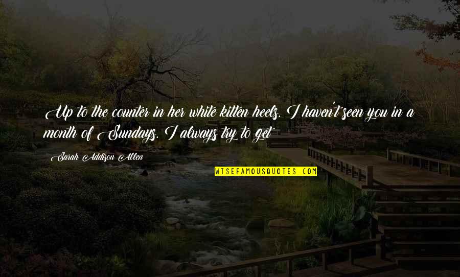 Andrea Veneracion Quotes By Sarah Addison Allen: Up to the counter in her white kitten