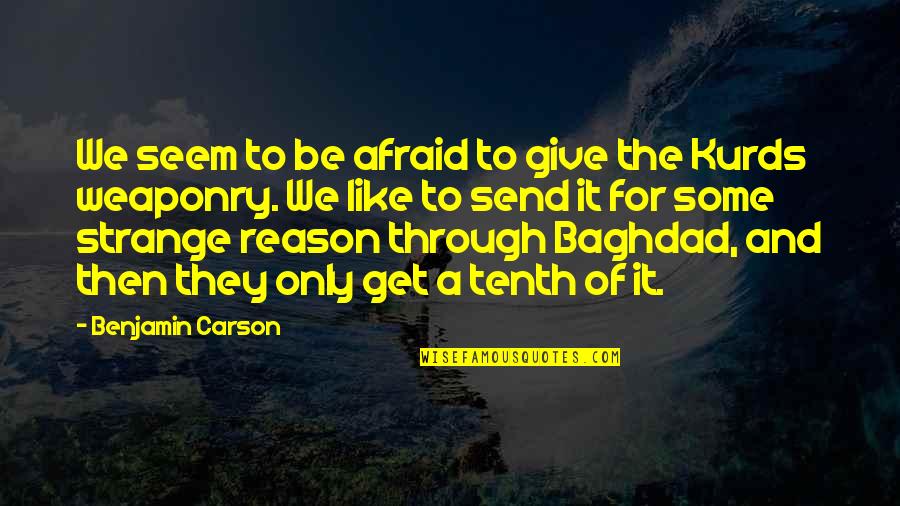 Andrea Zittel Quotes By Benjamin Carson: We seem to be afraid to give the