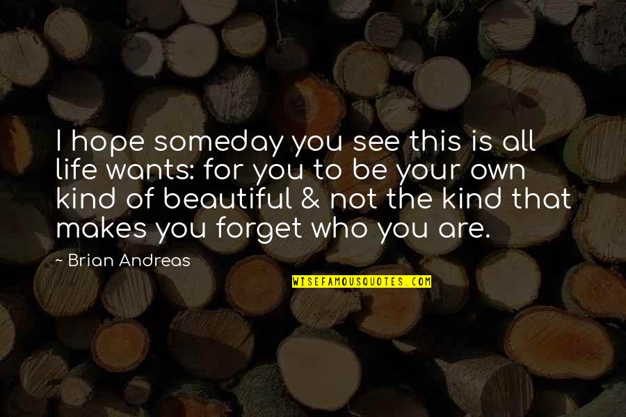 Andreas Quotes By Brian Andreas: I hope someday you see this is all